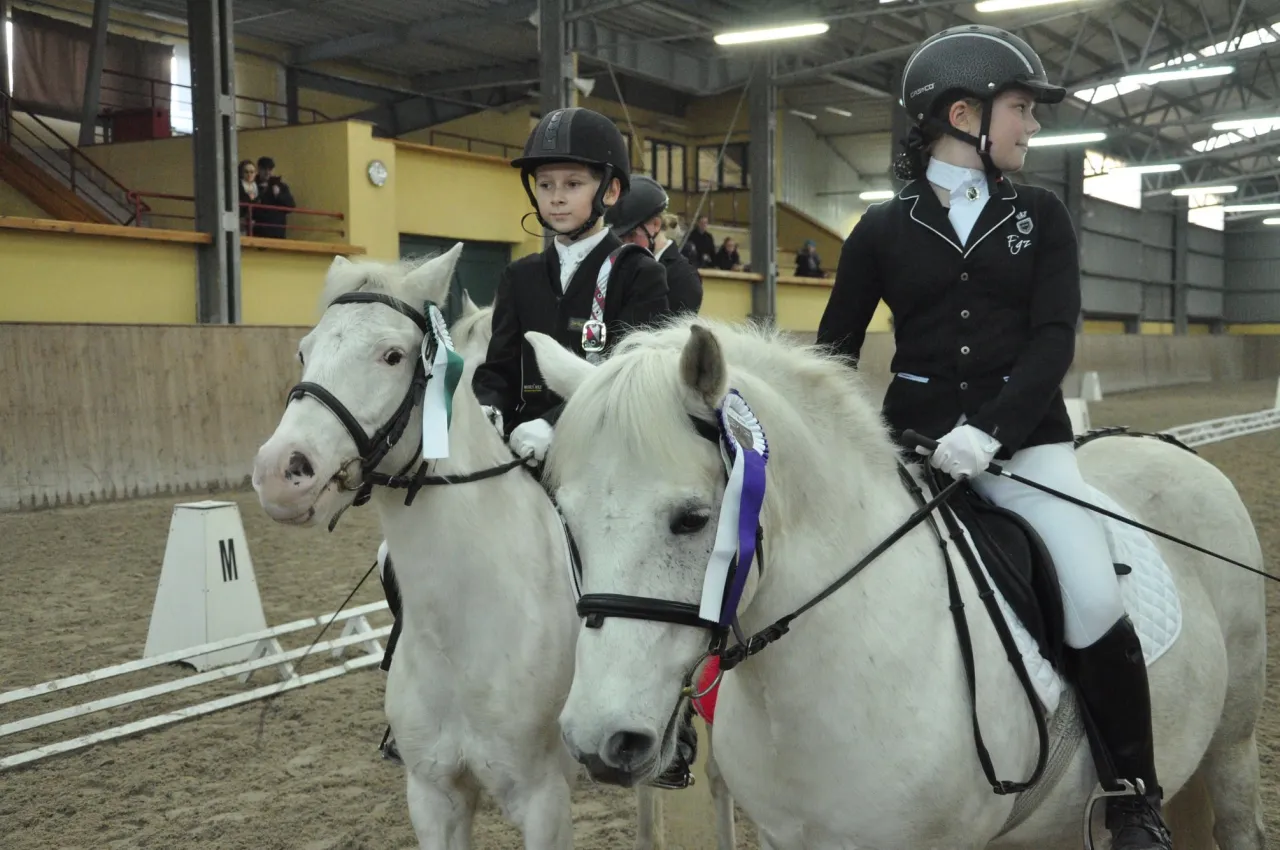 egzamin na odznakę jeżdżę konno opieka stajenna