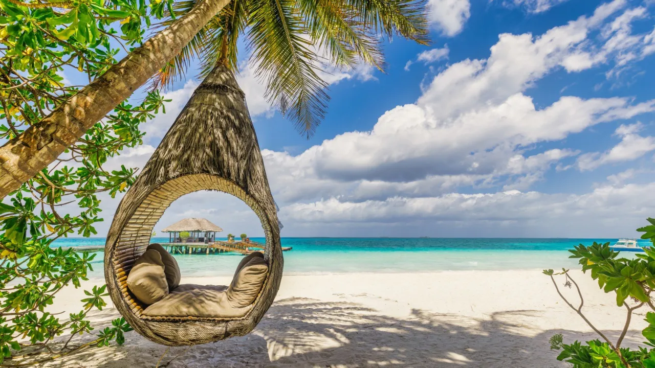 egzotyczne plaże palmy