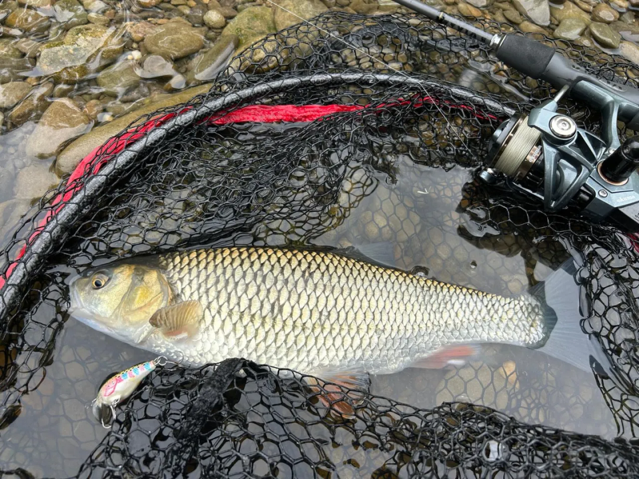 Poradnik wędkarski Wielkopolska