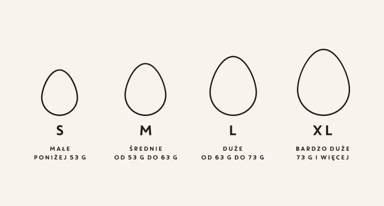 rozmiary jajek kurze S M L XL