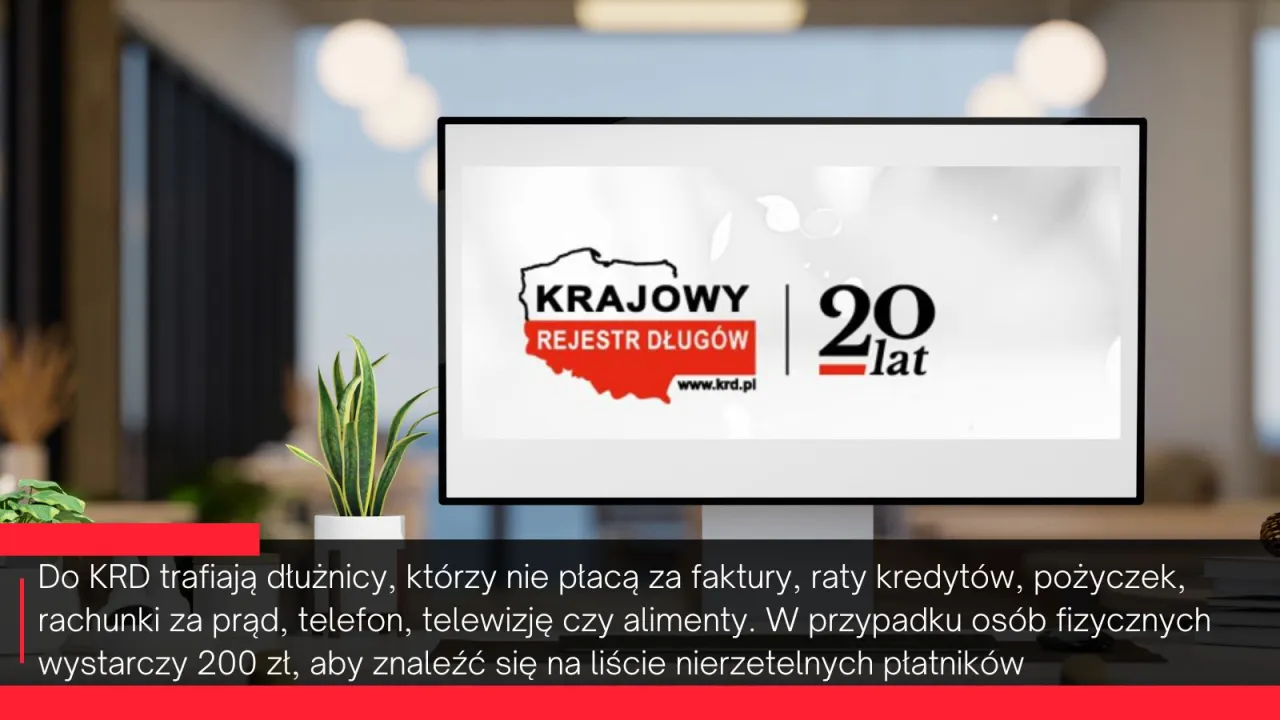 minimalna kwota zadłużenia KRD konsument przedsiębiorca