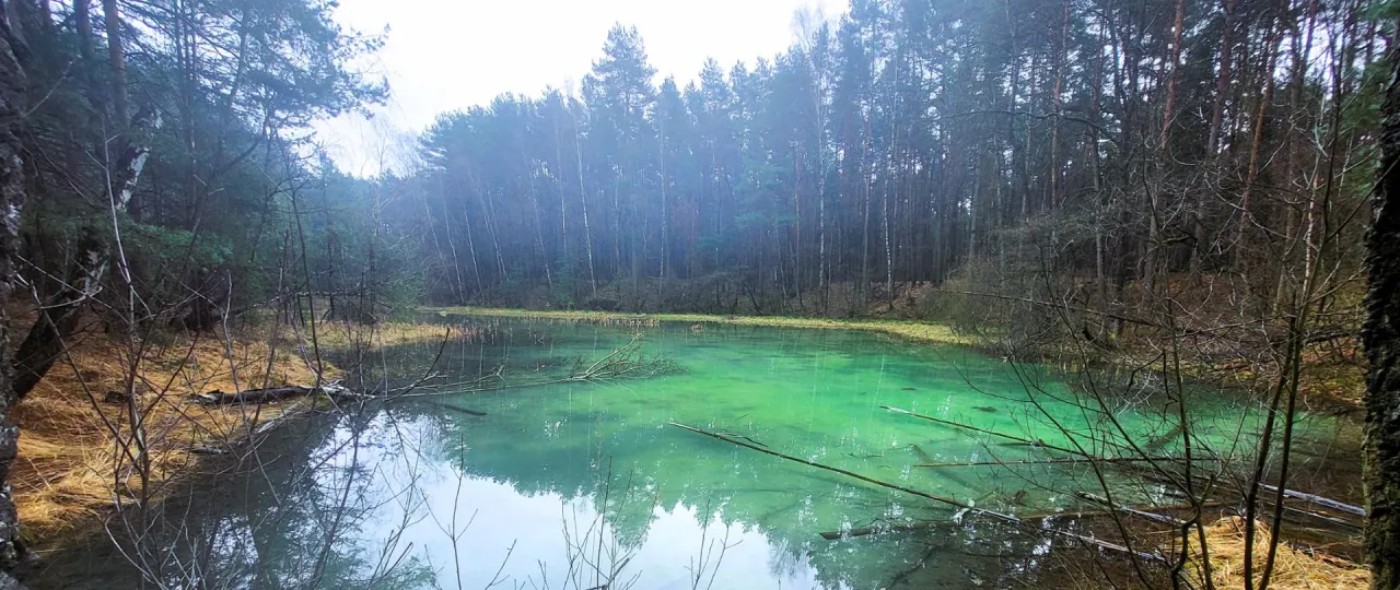 Dolina Żabnika rezerwat przyrody Jaworzno