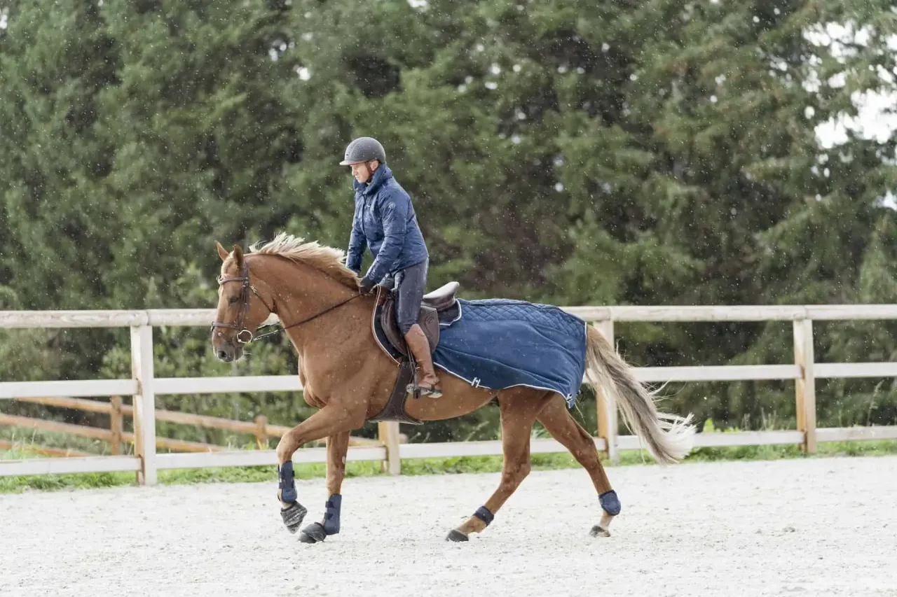 Jeździec na kasztanowatym koniu w niebieskiej derce, w deszczu. Czy jazda konna odchudza? Aktywność fizyczna na świeżym powietrzu.