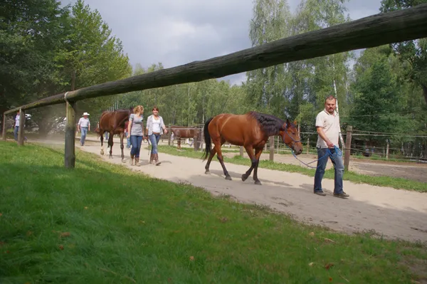 jazda konna rekreacyjna stadnina
