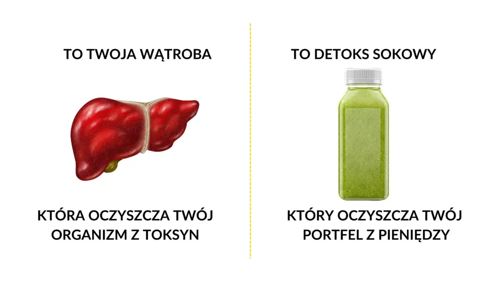 wątroba schemat, detoksykacja organizmu, mity żywieniowe