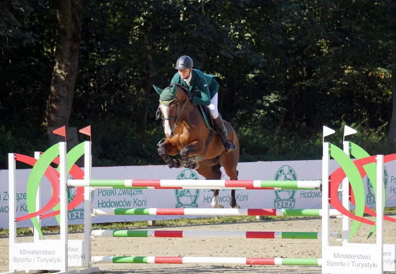 Różne rodzaje konkursów skokowych w jeździectwie
