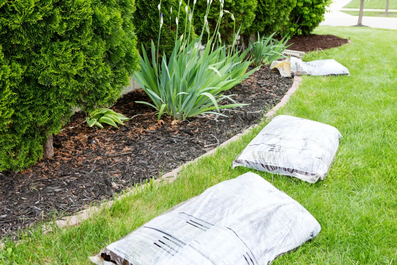 Przygotowania do pielęgnacji ogrodu. Widać tuje, rabatę z irysami i worki z korą pod tuje, gotowe do użycia.