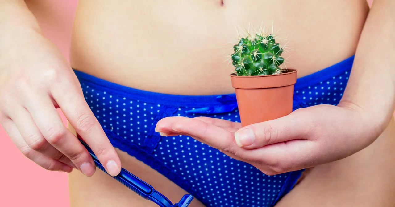 Długość włos&oacute;w do depilacji woskiem infografika