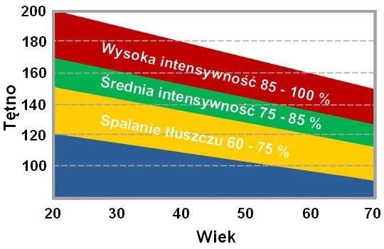 wykres stref tętna do treningu, spalanie tłuszczu, cardio