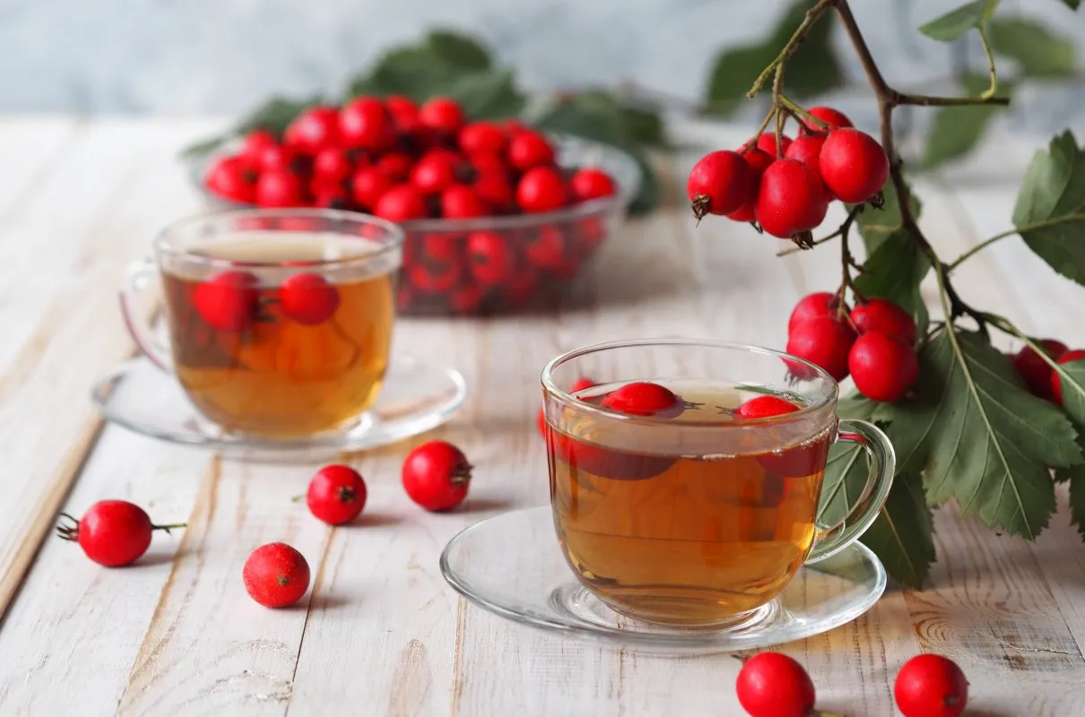 herbata z głogu suszone owoce i kwiaty