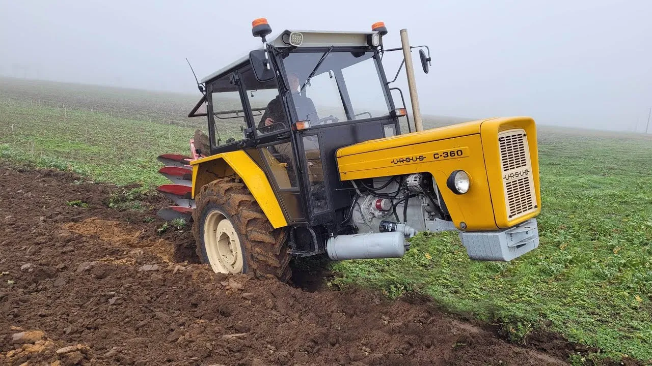 Ursus C-360 w polu