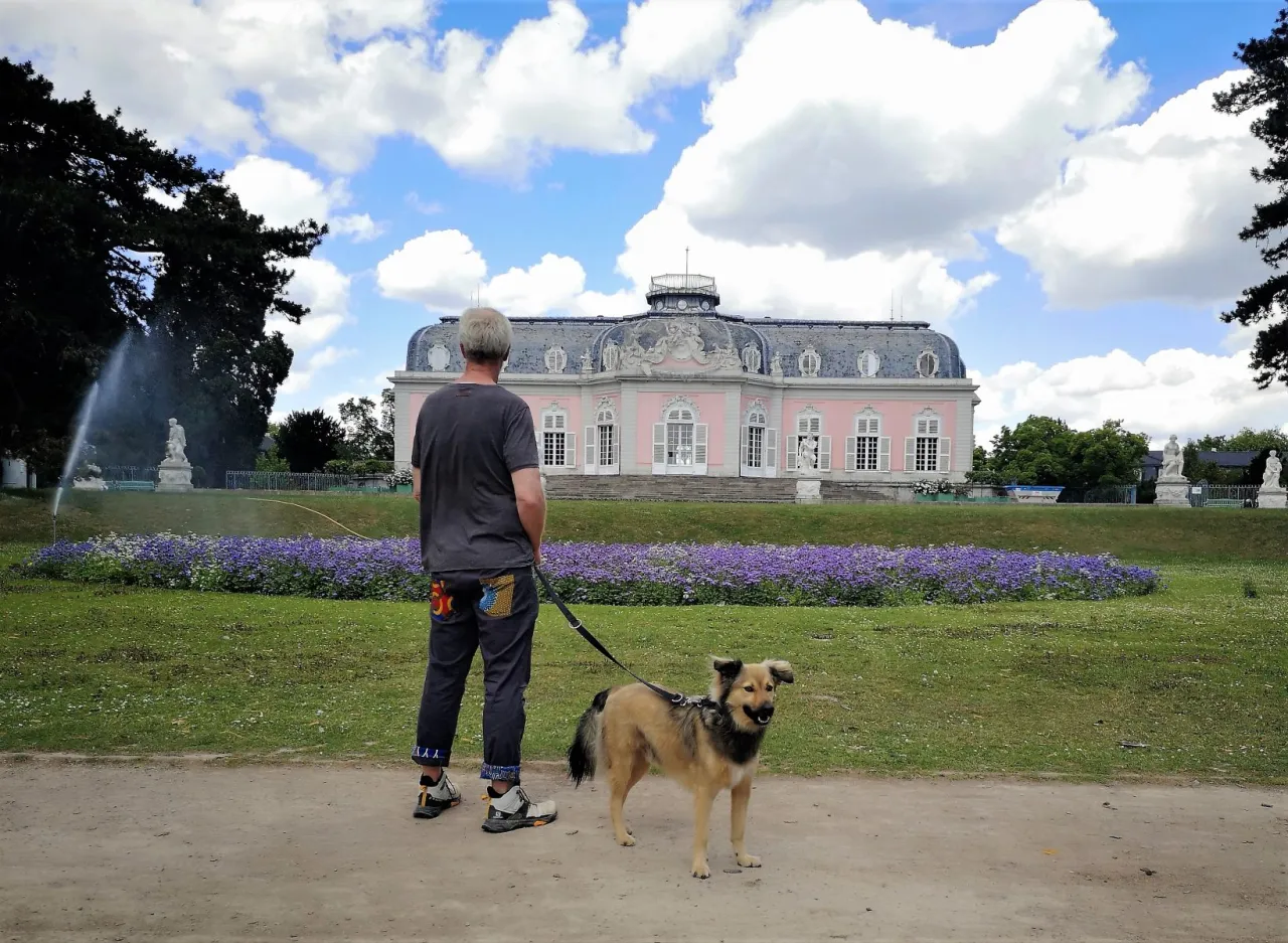 Schlossgarten mit Hund Deutschland