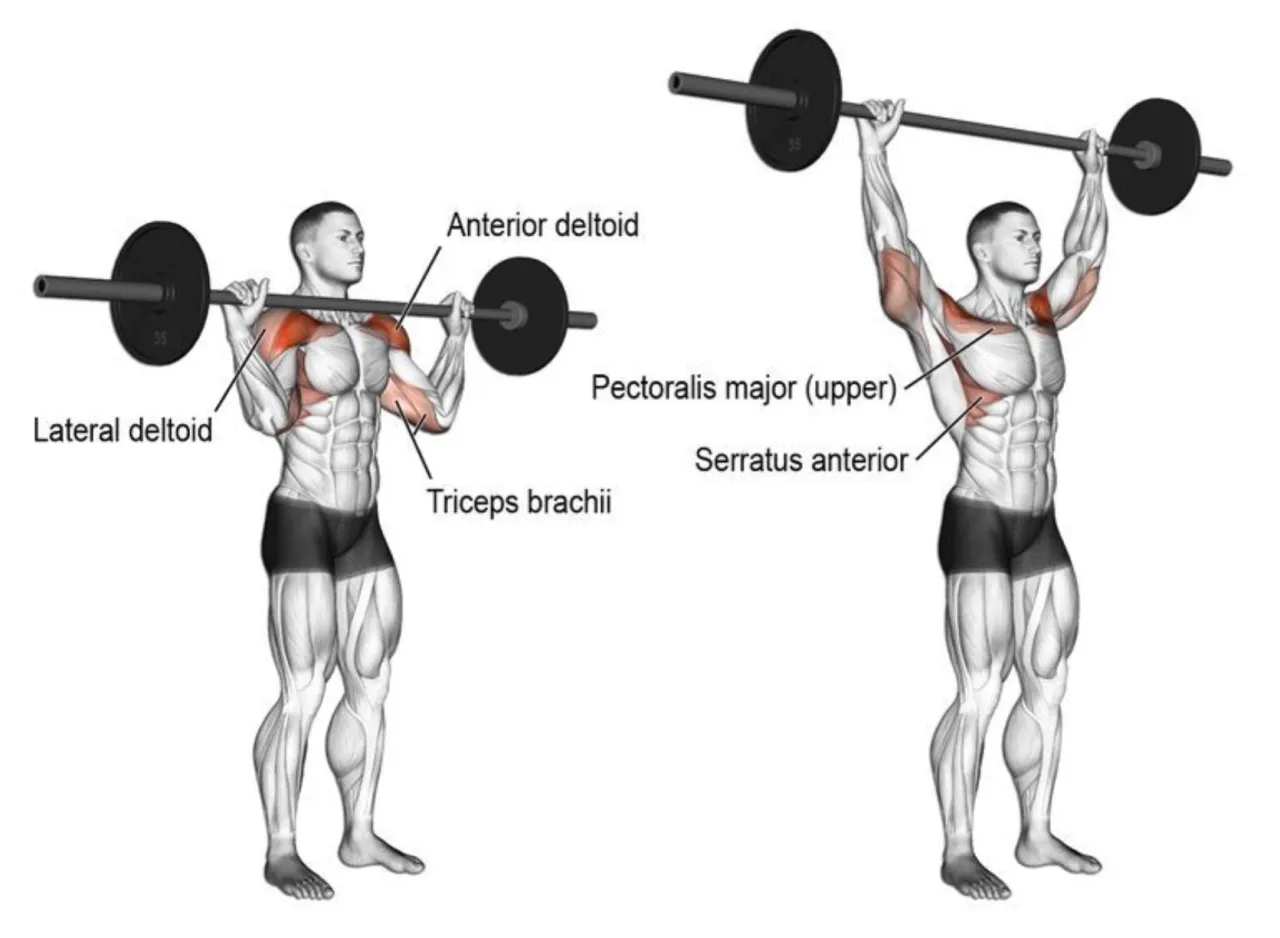 Mężczyzna wykonuje wyciskanie sztangi nad głowę. To świetne ćwiczenie na barki, angażujące też klatkę i triceps.