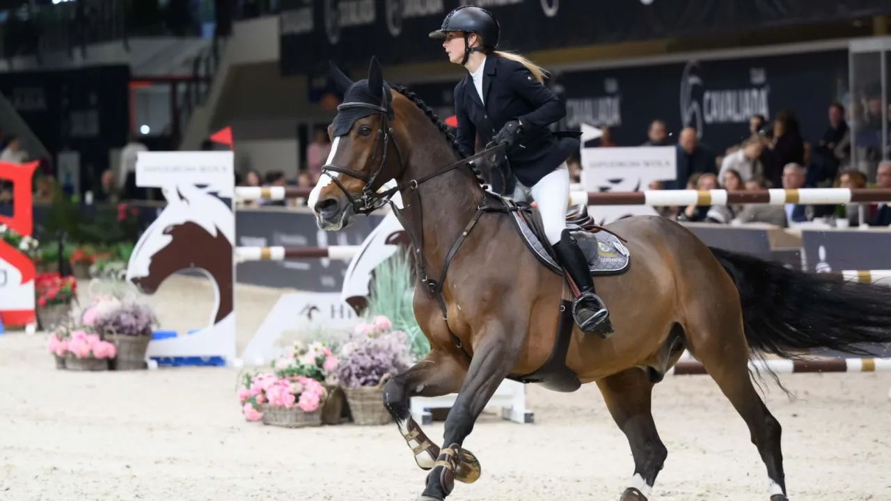 Platformy streamingowe jeździectwo