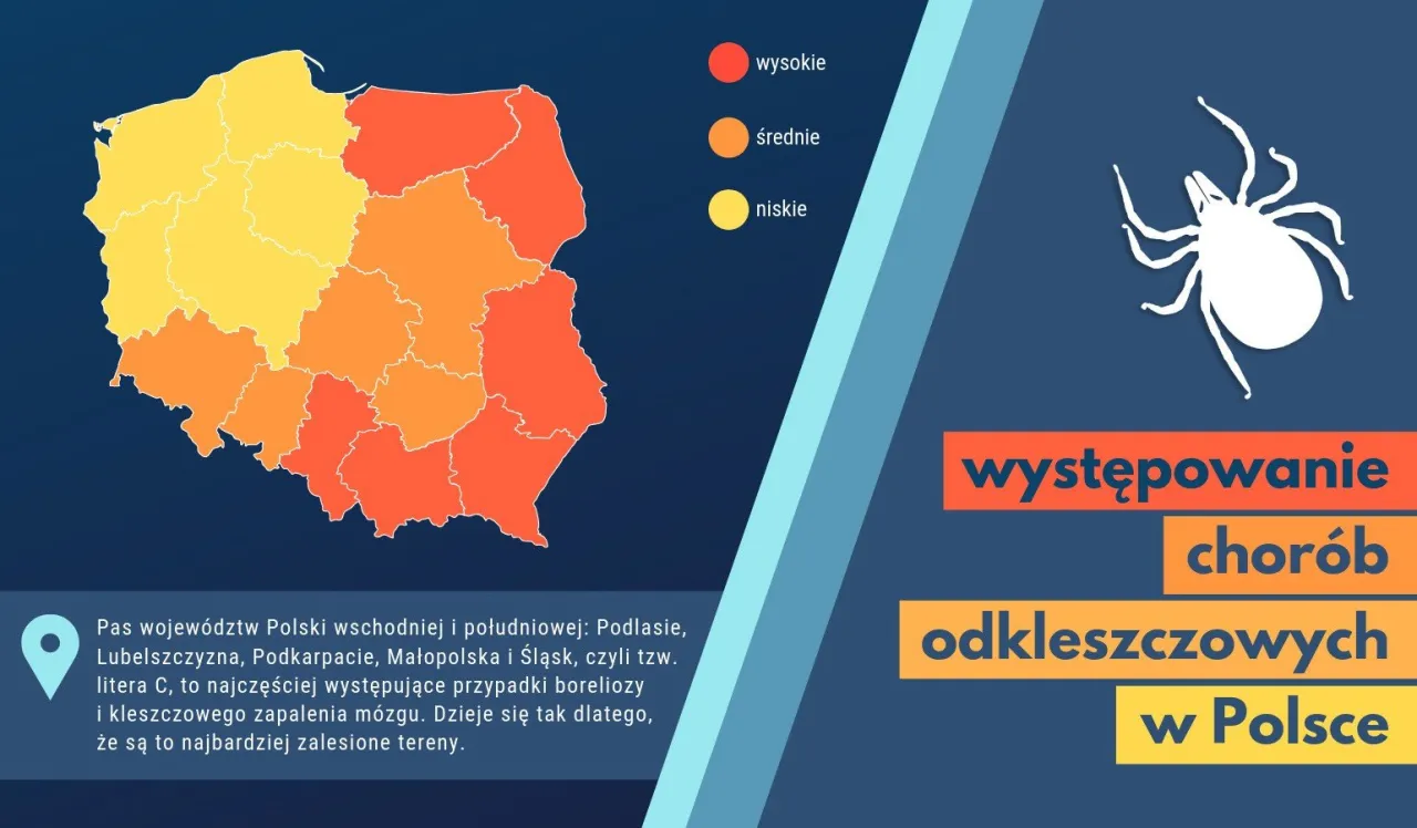 mapa zagrożenia kleszczami w Polsce