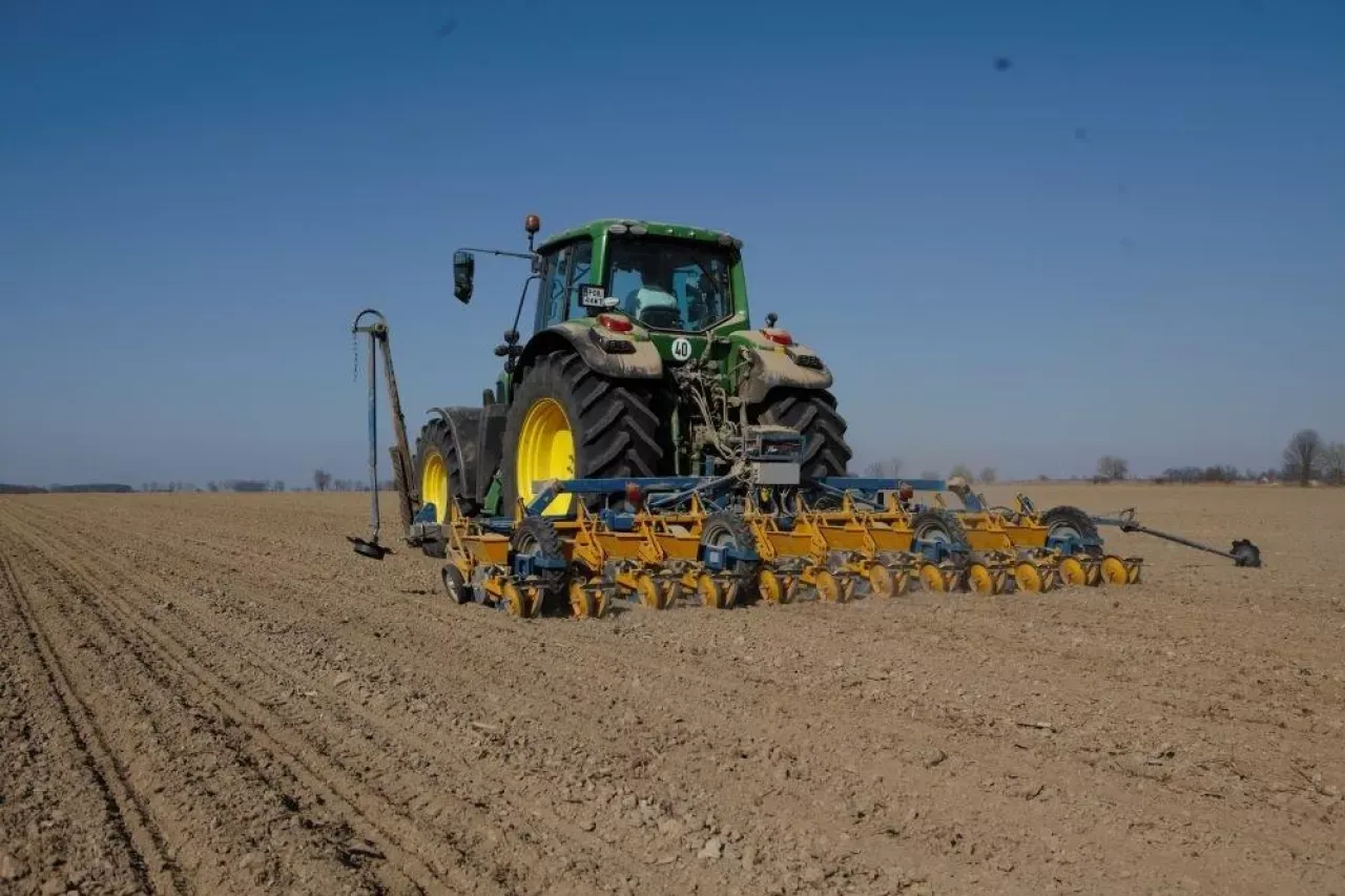 Burak cukrowy na polu z maszynami rolniczymi