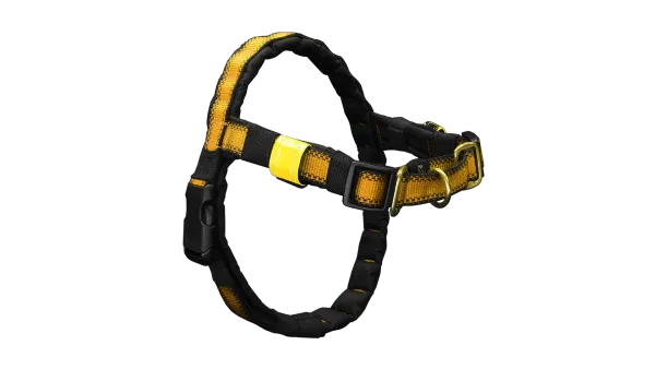 Szelki easy walk i kantar dla psa