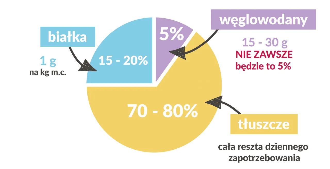 kalkulator zapotrzebowania na białko