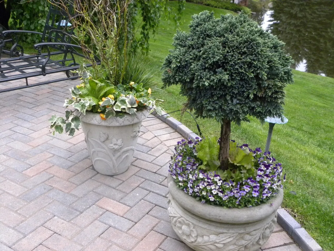 Rośliny wieloletnie w donicach na taras