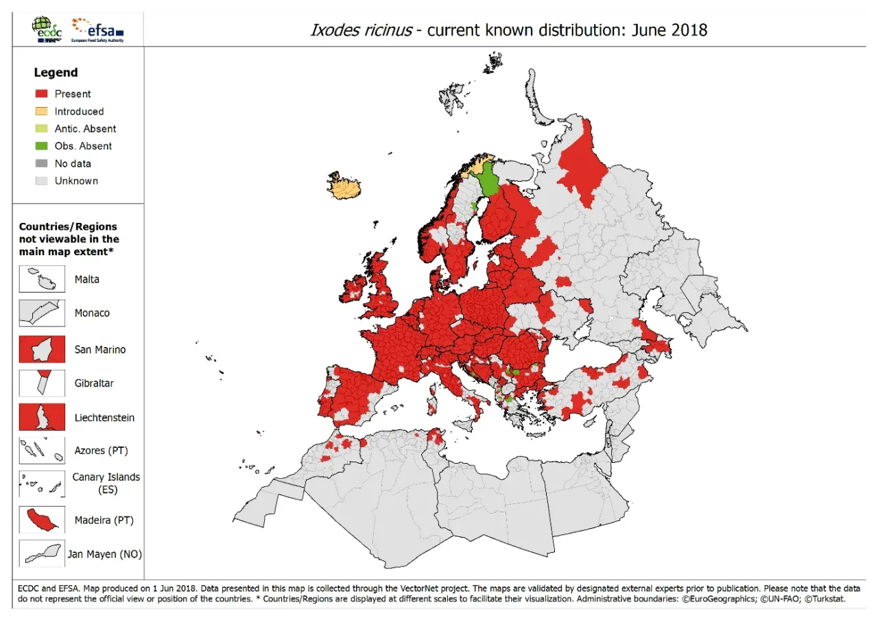 mapa ryzyka kleszczy u psa, miejsca ukąszeń kleszczy na psie