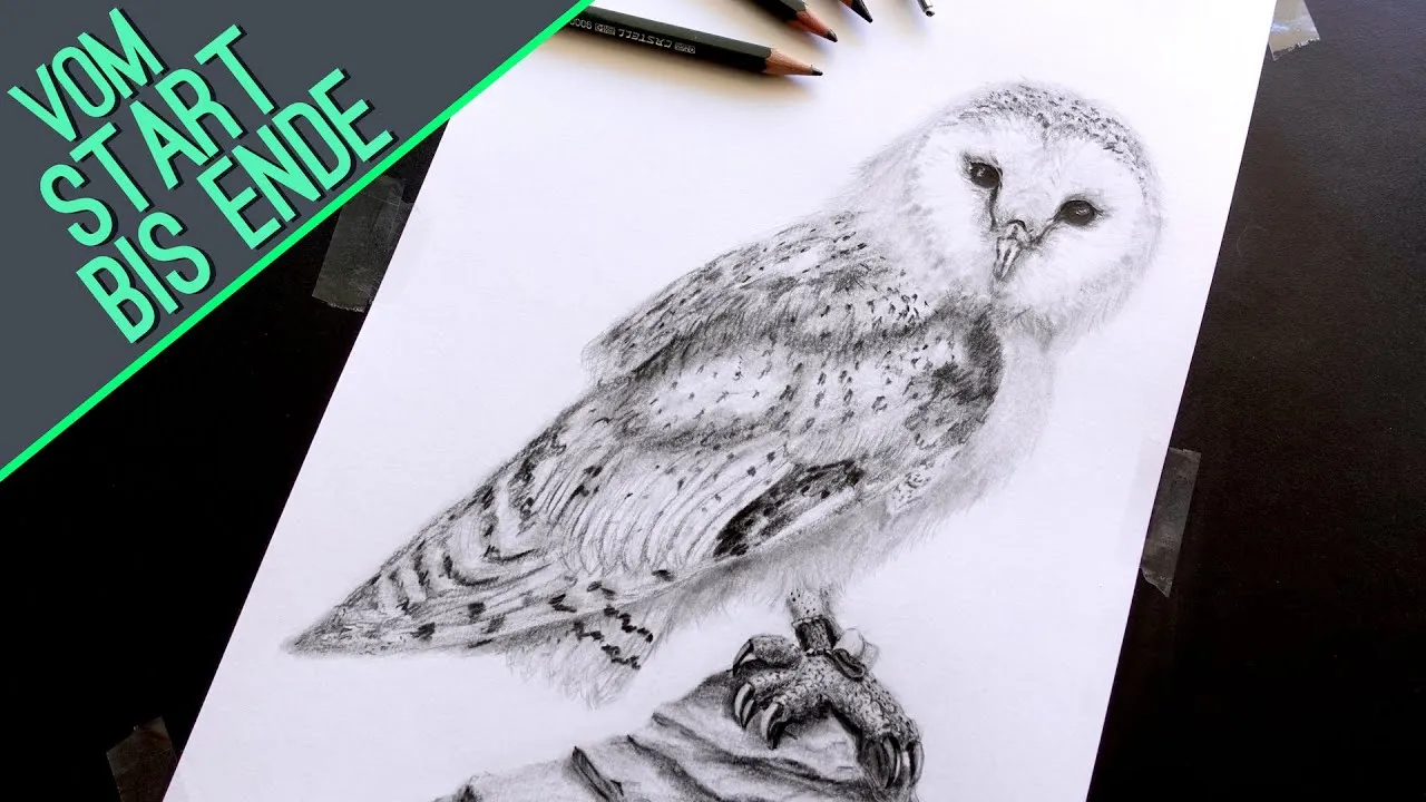 Eule zeichnen Bleistift Details Federkleid