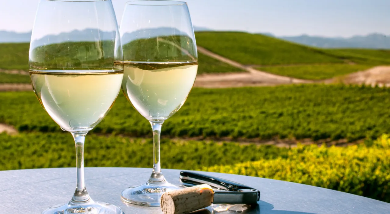 otwieranie wina butem