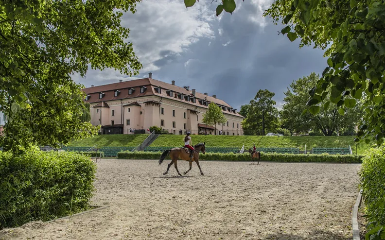 Klub Jazdy Konnej Pod Żubrem Niepołomice