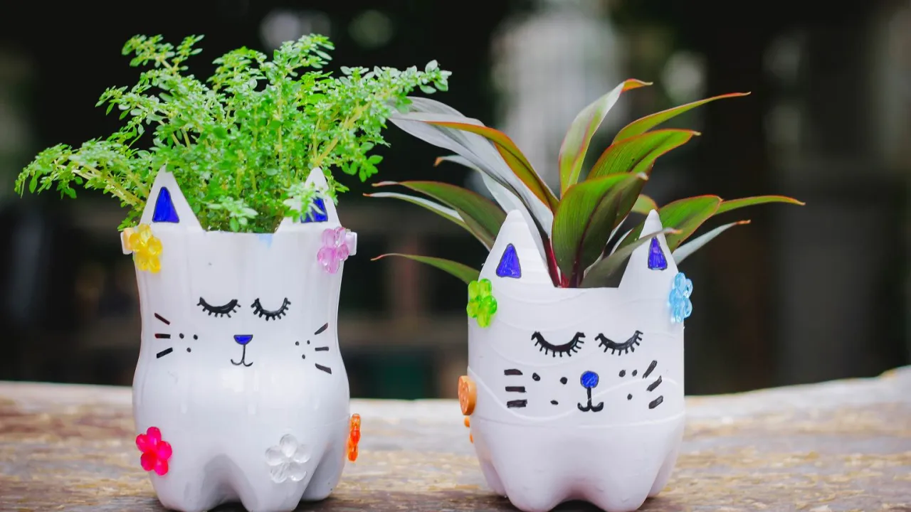 Kreatywne wykorzystanie plastikowych butelek DIY