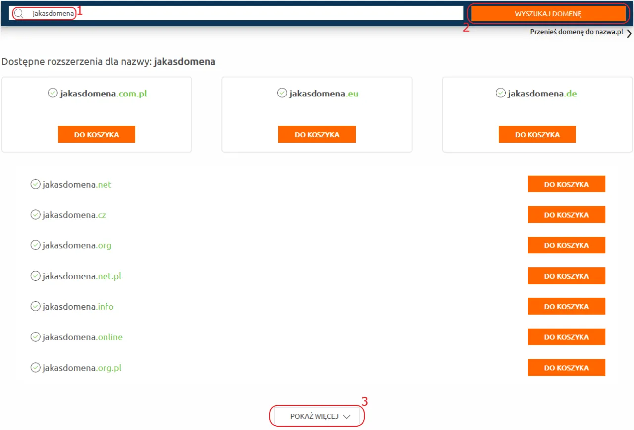 Rodzaje domen internetowych grafika