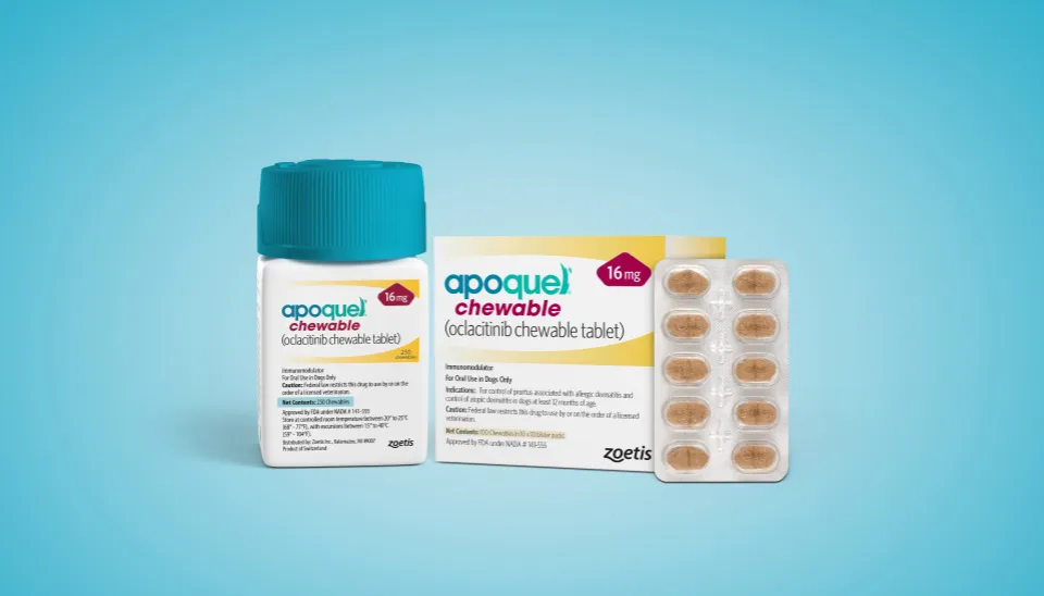 lecznica weterynaryjna recepta apoquel