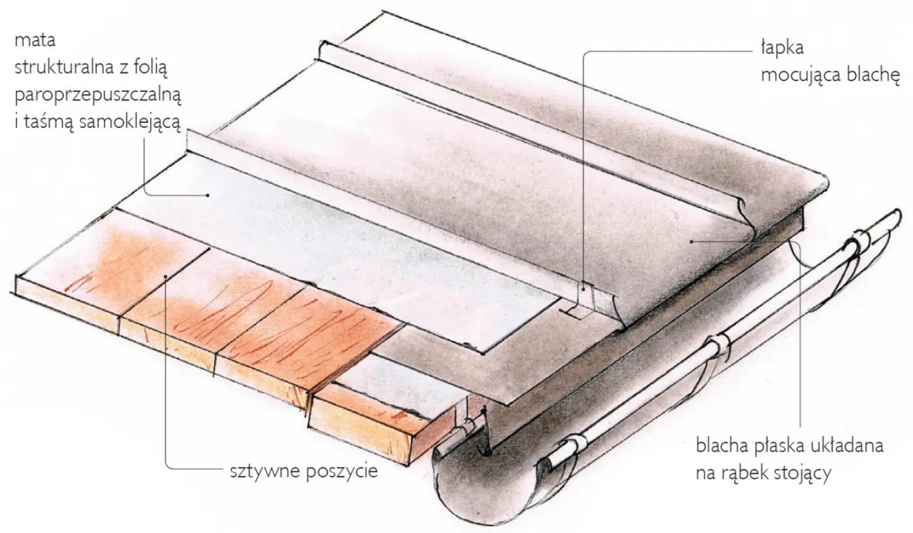Historia i ewolucja papy dachowej