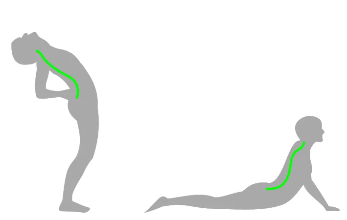 Metoda McKenziego przeprosty