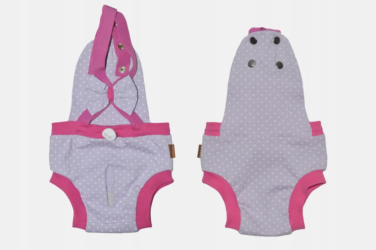 wykrój majtki dla psa na cieczkę