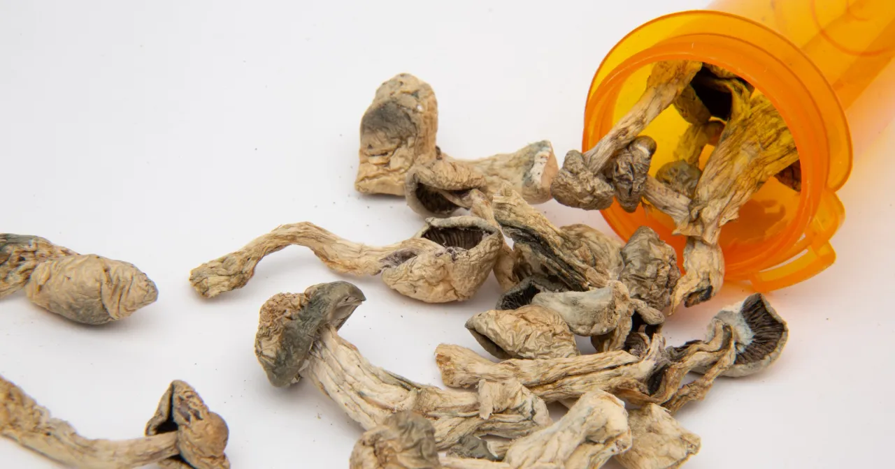 mózg schizofrenia psychoza