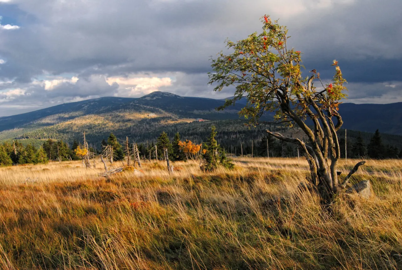 Czeskie Karkonosze widoki