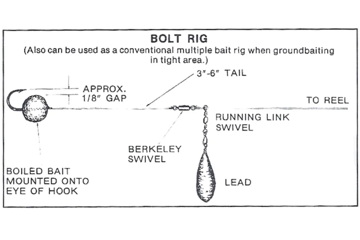 metoda włosowa karp schemat