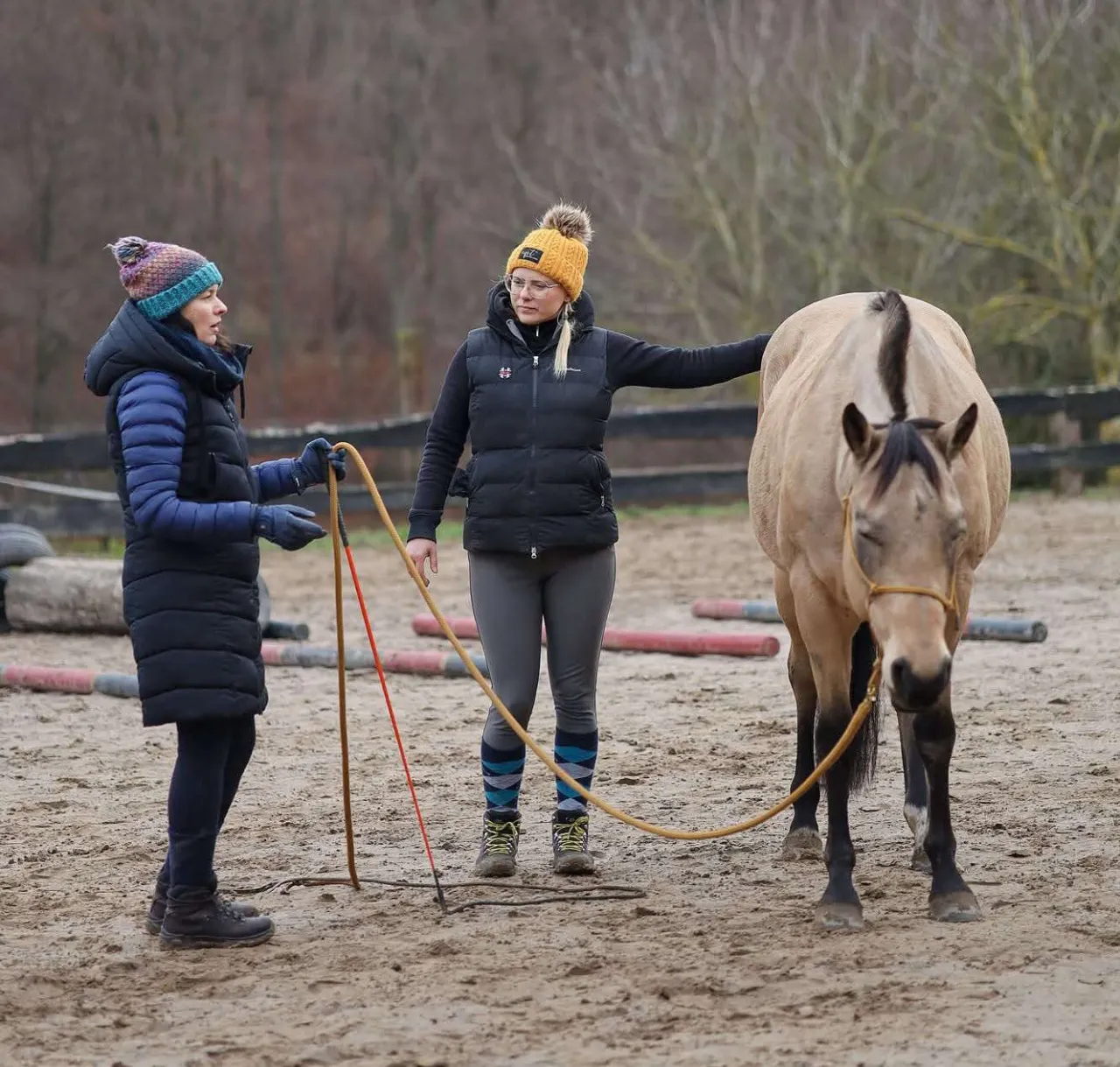 nauka jazdy konnej Botoja dzieci dorośli