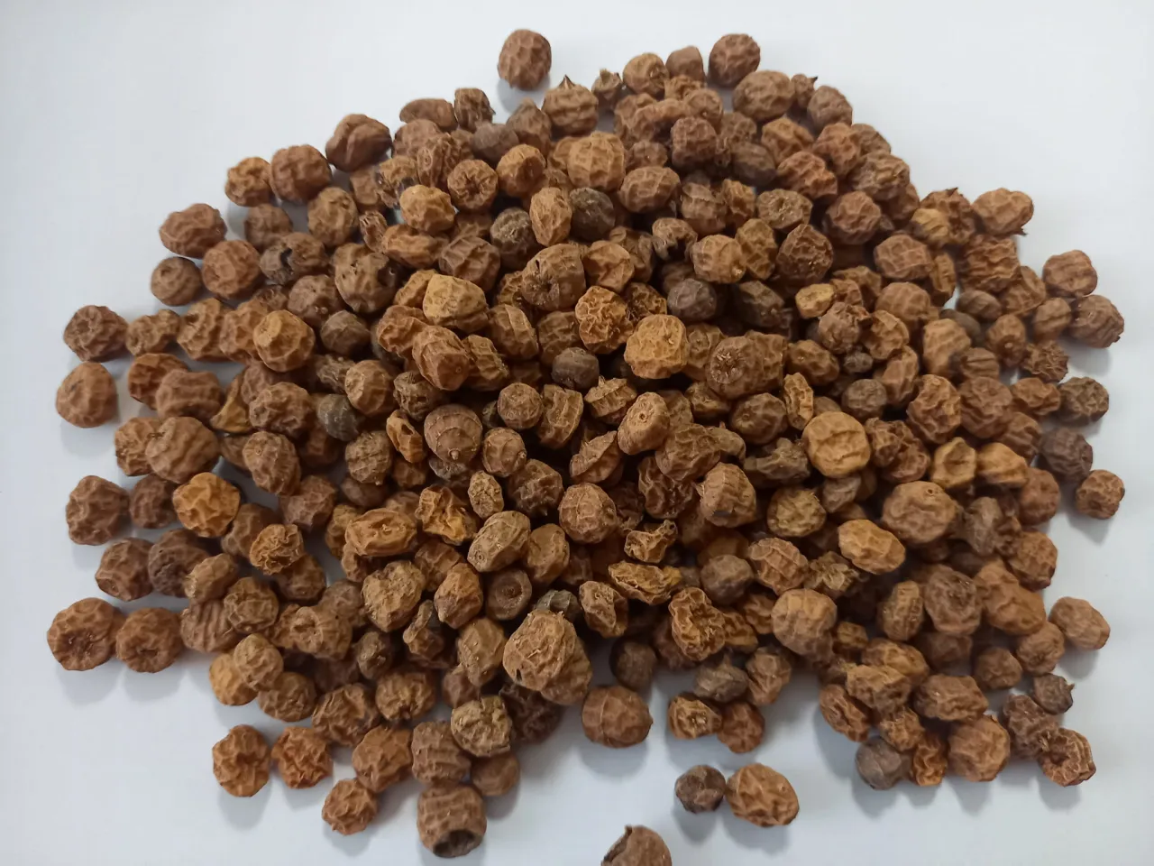 r&oacute;żne rozmiary orzecha tygrysiego