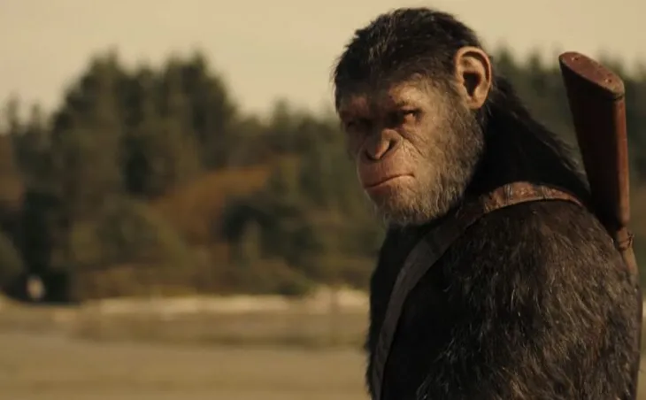 Planeta Małp ewolucja Cezara