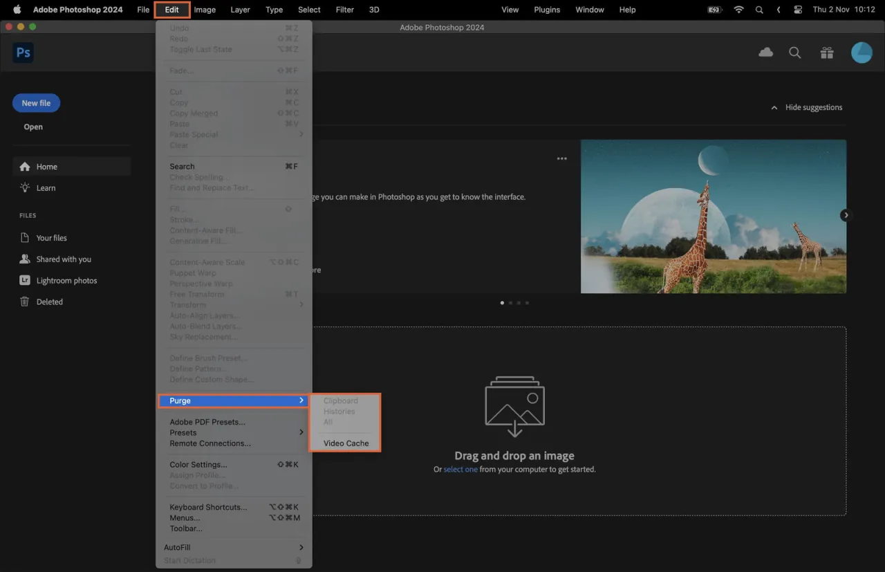 Photoshop Purge menu