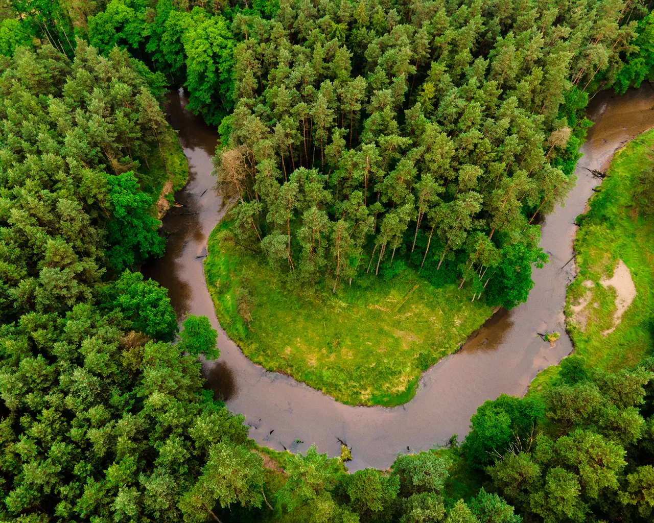 Meandry rzeki Mała Panew Opolska Amazonka
