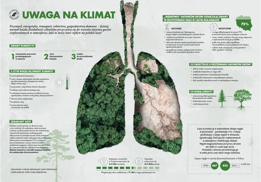 wpływ zmian klimatu na lasy w Polsce