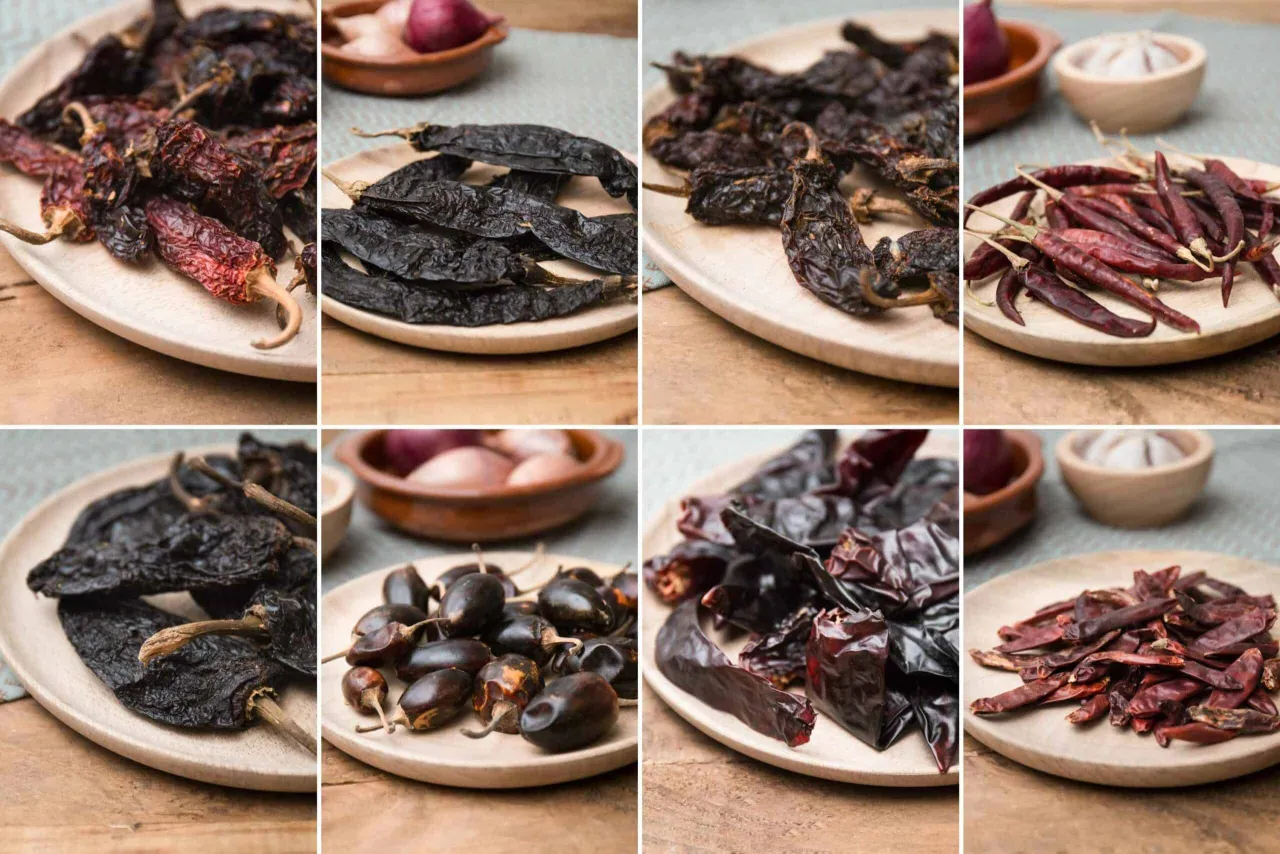 Diff&eacute;rents types de piments s&eacute;ch&eacute;s et frais