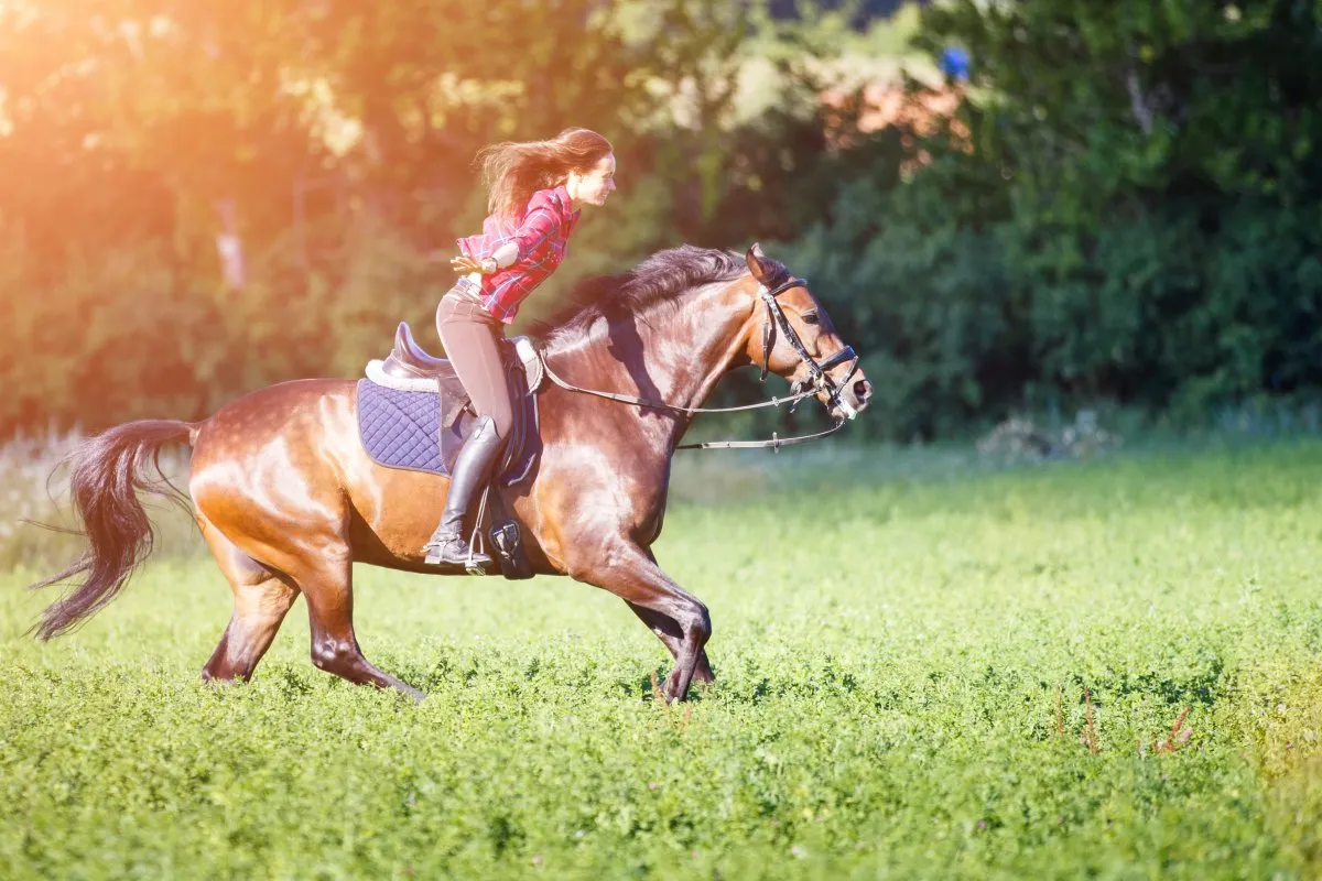 kobieta na koniu świadoma swojego ciała, jeździec wsłuchujący się w sygnały organizmu