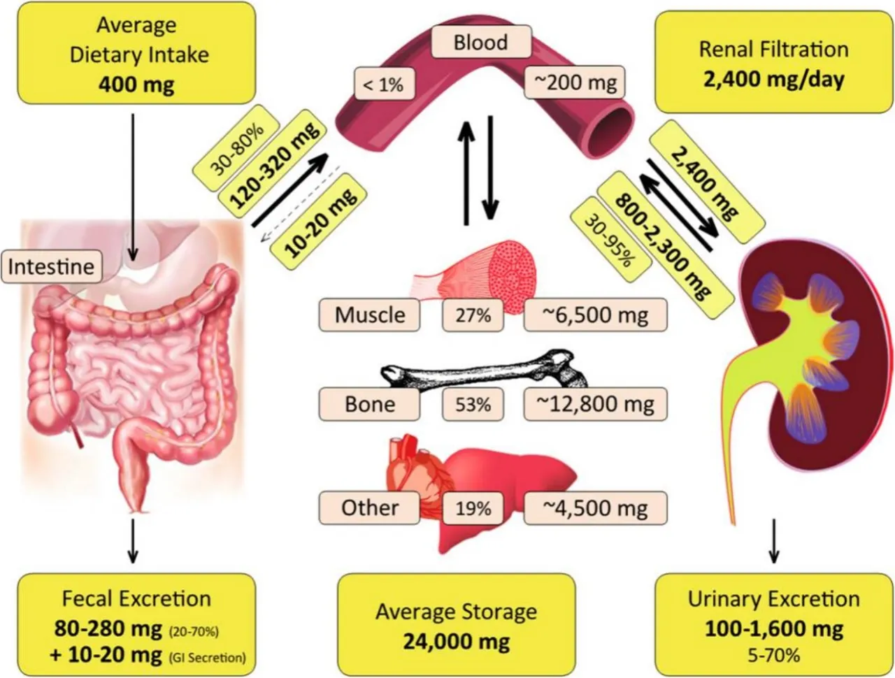 Czynniki wpływające na niedobór magnezu