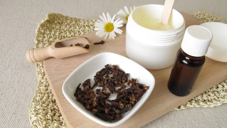 Naturalne metody odstraszania komarów na tarasie