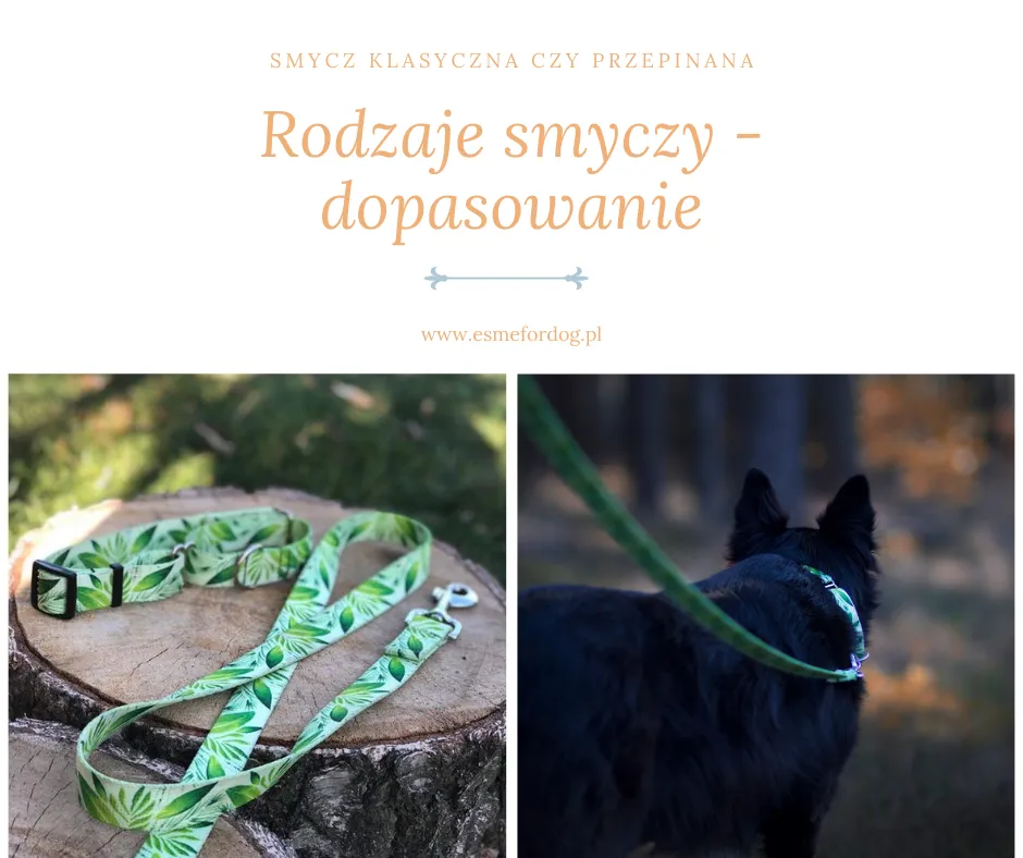 r&oacute;żne typy smyczy dla psa