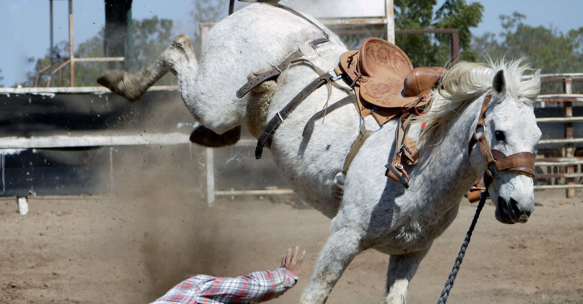Najlepsze westerny – filmy o Dzikim Zachodzie i kowbojach