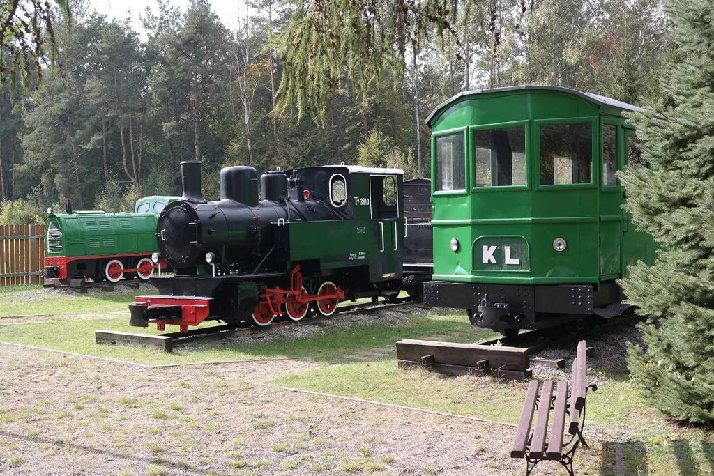 Skansen Kolei Leśnej Jan&oacute;w Lubelski trasa kolejki