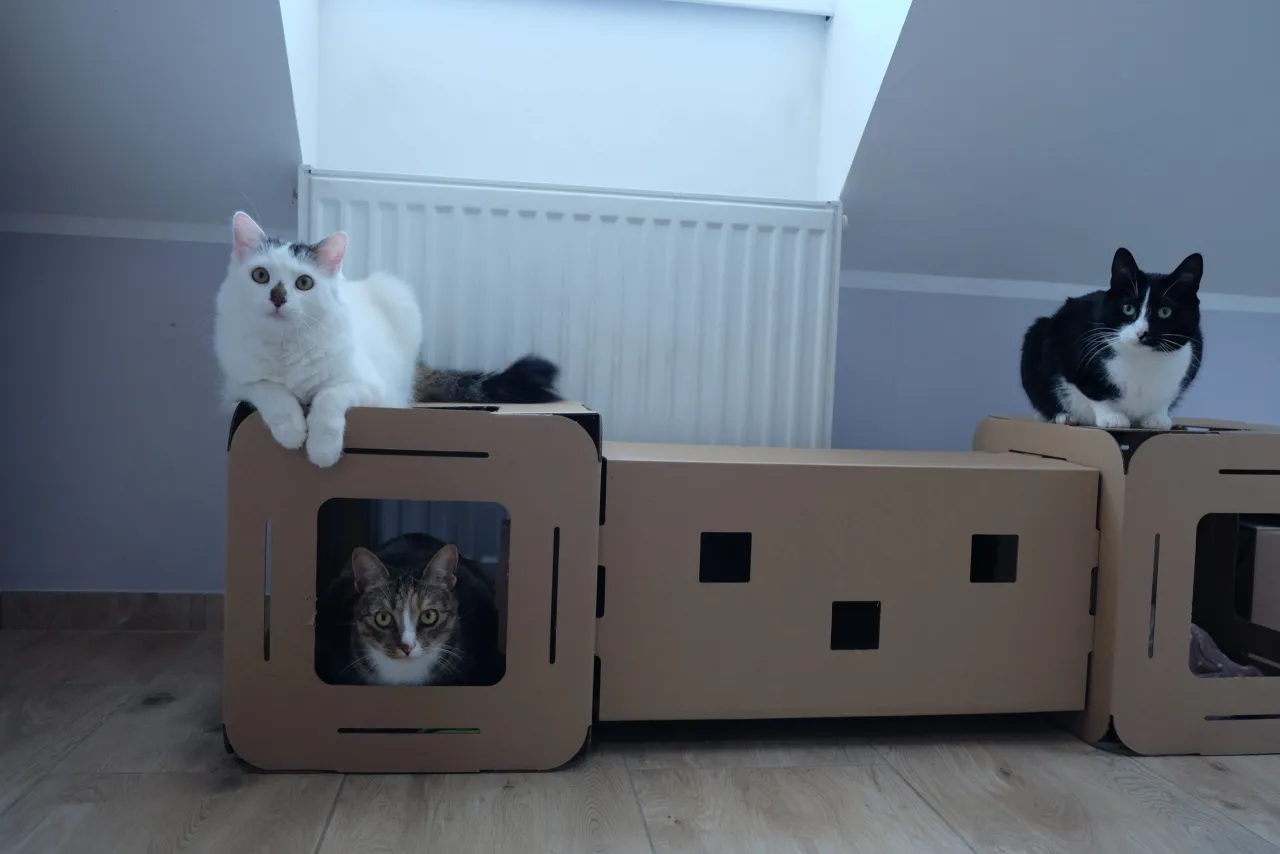 domek dla kota z kartonu inspiracje